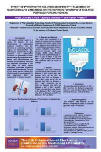 sciforum-066131.pdf