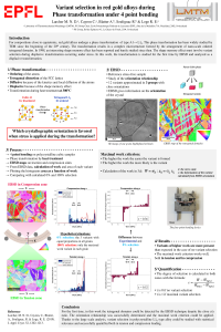 Poster MDPI.pdf
