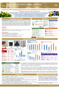sciforum-175315.pdf