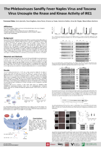 Poster_Viruses2026_FP.pdf
