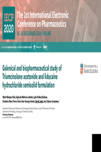 presentation DLM (1).pdf
