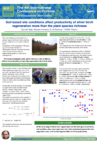 sciforum-099874_SzymonBijak.pdf