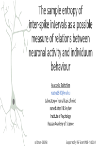 Bakhchina_Entropy.pdf