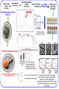 JB_Graphical Abstract _mol2.pdf