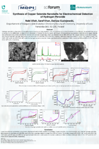 Poster.pdf