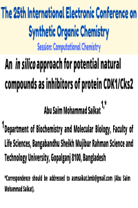 Presentation_sciforum-051335.pdf
