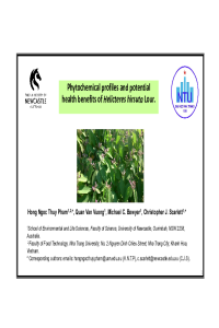 Hong Ngoc Thuy Pham_Presentation_Sci forum Nov2020.pdf