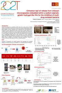 Poster ECA.pdf