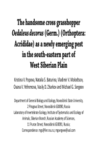 Popova_et_al_2021_presentation.pdf