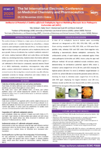 Poster--Dr Rabia Tanvir.pdf