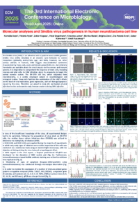 sciforum_114956_S4_slides_IECM_Poster_2025_BK.pdf