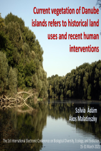 Adam-Malatinszky slides.pptx.pdf
