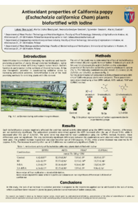 PosterMDPISkoczylas.pdf