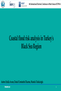 Coastal flood risk analysis in Turkey's Black Sea Region_presentation.pdf