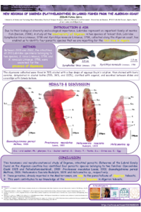 New Records of Digenea (Platyhelminthes) in Labrid Fishes from the Algerian Coast.pdf