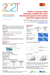 2020.10.05_Nanomaterials Poster.pdf