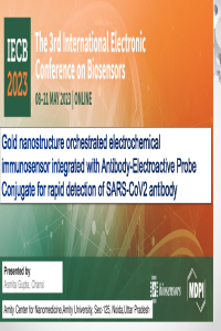 IECB2023 paper presentation.pdf