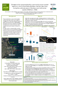 Poster_IOCE_Bernarello_et_al.pdf
