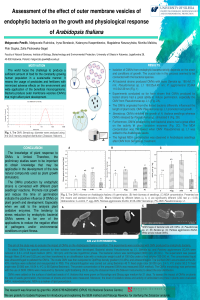 OMV Pawlik.pdf
