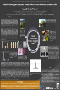 Poster Initiation of embryogenic suspensor masses in Austrocedrus chilensis para subir.pdf