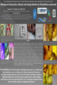 Poster Histology of Austrocedrus chilensis roots during infection by Phytophthora austrocedri.pdf