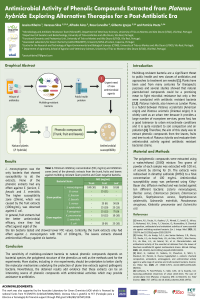 Poster_ECM_Plátano.pdf