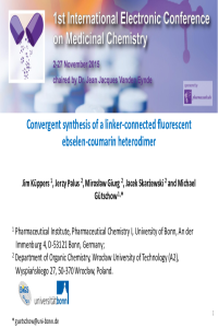 Präsentation_E-Conference.pdf