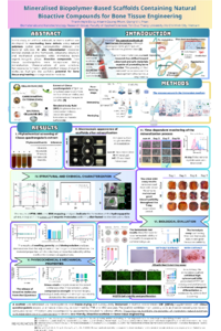 sciforum-173438_Poster.pdf