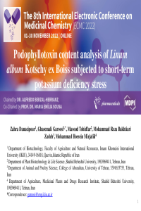 sciforum-066218.pdf