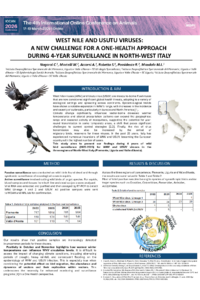 Nogarol et al_IOCAN2026.pdf