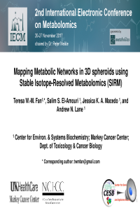 17-10-30_N3D_spheroids_Metabolites_IECM_talk_TF_video1.pdf