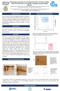 Poster  IECT- FAC .pdf