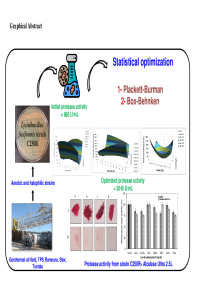 Graphical Abstract_Mol2net 2021.pdf