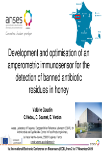 Ampero-honey-VGaudin.pdf