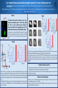 poster_Mangini.pdf