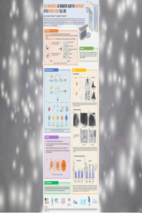 sciforum-060271-Presentation.pdf