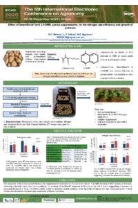 Motene_Sciforum_MDPI_2026.pdf