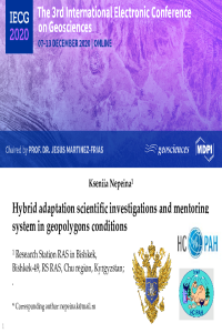 scinetNepeina2020.pdf
