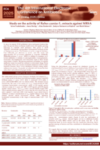 Poster 2025 Poster2 do wgrania.pdf