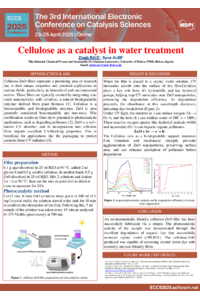 poster.pdf