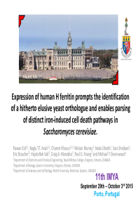 sciforum-005760-presentation.pdf