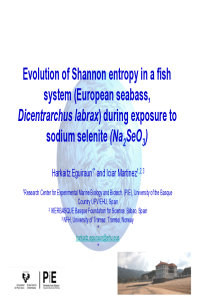 sciforum-005948-Presentation.pdf