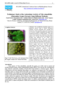 mol2net-03-MPina2.pdf