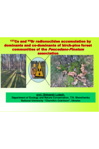 Lukash_ASEC2023_Present1.pdf