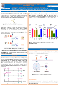 DMSO poster ASEC 2025 - pdf rev.pdf