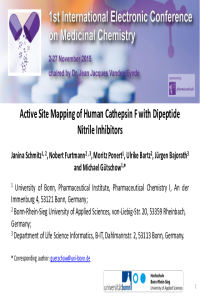 Presentation e-conference.pdf