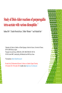 SCIDA.pdf