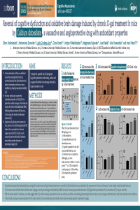 Posters Sciforum 045637 CaD Cognitive Neuroscience.pdf
