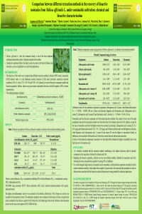 IECPS_Melissa_ Poster_Izamara.pdf