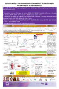 sciforum-014879_Poster_AMBEU_2017.pdf